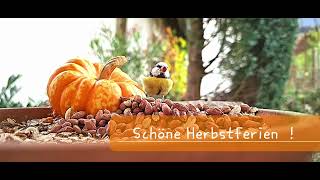 Schöne Herbstferien [upl. by Bohlin]