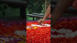 Balinese blooming artistry flower pool 🌺 bali hotel resort flowerpool travel hotelbali [upl. by Gintz]