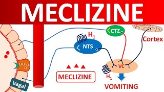 Meclizine Pyridoxine How to Use It amp 3 Common Side Effects [upl. by Belen772]