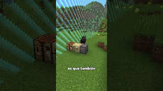 El bug más raro de Minecraft 😲 [upl. by Alyag]