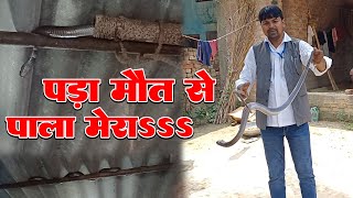 Rescuing A Cobra Snake A Reallife Adventure  Sonu Pujari Sarpmitra  Sonu Pujari  Cobra Snake [upl. by Jean389]