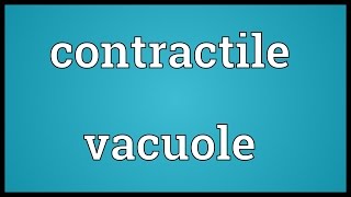 Contractile vacuole Meaning [upl. by Rebeca]