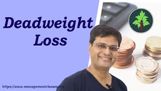 Deadweight Loss in Hindi [upl. by Leinoto211]