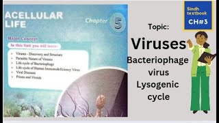 Bacteriophage virus l lysogenic cycle l XI biology l A cellular life [upl. by Blumenthal]