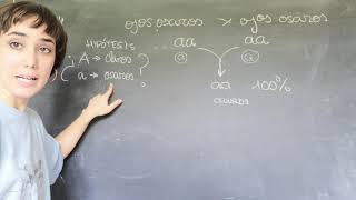 Ejercicio 44 Alelos dominante y recesivo Problemas de genética humana [upl. by Kenn]