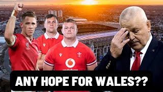 ANY HOPE FOR WALES  SELECTION REACTION  WALES vs South Africa [upl. by Durkin832]