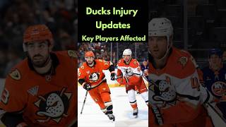 Ducks Injury Updates Key Players Affected hockey injuryupdate NHL sportsnews ducks sports [upl. by Jezebel]