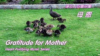 母 恩 Gratitude for Mother 《Heart Purifying Music Series 161》 [upl. by Idnem126]