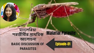 Basic discussion of Malaria hsc biology in bengali exam 2025। Malarial parasite । অণুজীব। Episode01 [upl. by Lajes]