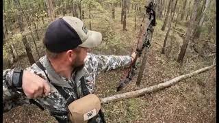 Louisiana bow hunting hogs [upl. by Rahs]