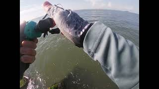 Galveston fishing Fort San Jacinto [upl. by Akemahc]