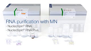 RNA purification with MN – NucleoSpin® RNA and NucleoSpin® RNA Plus [upl. by Okier525]