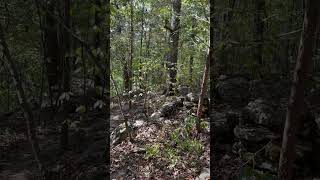 Shorts Alligator Rock along Rainbolt Trail at Madison Alabama’s Rainbow Mountain Nature Preserve [upl. by Brandt]