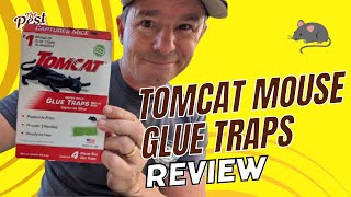 Exterminator Review Are Tomcat Mouse Glue Traps Worth the Controversy [upl. by Pammi734]