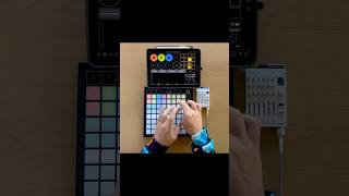 Chill beats live looping workflow test with Launchpad X Loopy Pro amp TX6 shorts [upl. by Venita466]