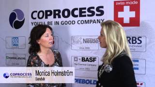 Intercompany Netting  Interview with Monica Holmstrom from Sandvik [upl. by Aelgna]