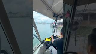 Cet homme plonge le bus dans la rivière et surprend les passagers 😨 [upl. by Soren972]