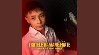 Fratele ramane frate Remix [upl. by Flan]