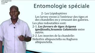 Agropastoral  Entomologie Spéciale 1 [upl. by Aneleh721]