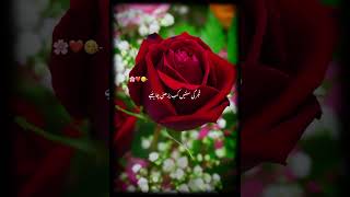 jumma mubarek  jummamubarak viralvideo subscribe [upl. by Ajtak]