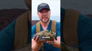 DEADLY STONEFISH STING BraveWilderness crazy animals wildlife nature facts [upl. by Eibbed495]