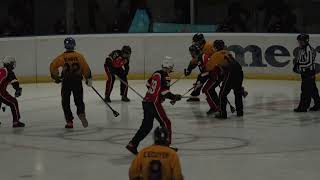 2024 IFBA World Broomball Championships Mens Final [upl. by Targett]