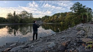 Fall Steelhead Fishing Trip BIG ACTION [upl. by Heinrike]