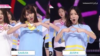 Miyawaki Sakura amp Matsui Jurina Dance Comparison PRODUCE48 NEKKOYA 宮脇咲良 松井珠理奈 IZONE [upl. by Innos918]