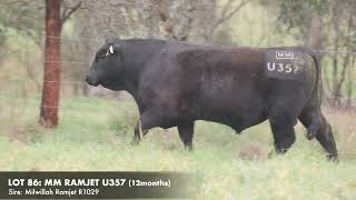 LOT 86 MILLAH MURRAH RAMJET U357 [upl. by Yarg]