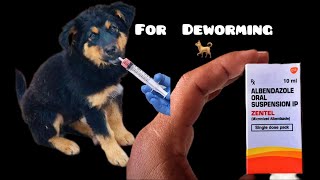 ALBENDAZOLE ORAL SUSPENSION IP ZENTAL  for deworming puppy 2month [upl. by Ainigriv896]