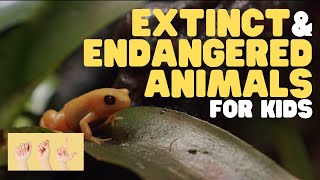 ASL Extinct and Endangered Animals for Kids [upl. by Adnarym]