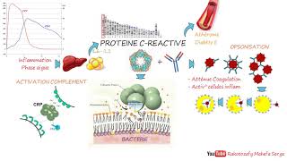 PROTEINE CREACTIVE [upl. by Anne-Marie]