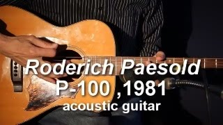 Roderich Paesold P100 Acoustic Guitar 1981 demo [upl. by Wellington358]