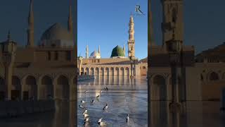 Seyyed abdul wasi qadri razvi naat shorts new viralvideo [upl. by Lohman822]