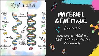 Le matériel génétique  partie 1 📣 EXPLICATION 🔔 L2 Génétique SNV GENETIQUE [upl. by Thayne731]