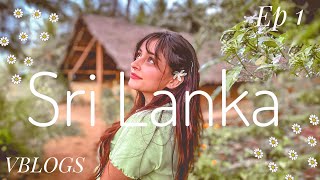 Srilanka Vlog 🌴  EP 1 Sigiriya Lion’s Rock  VBLOGS  Vitasta Bhat [upl. by Wartow104]