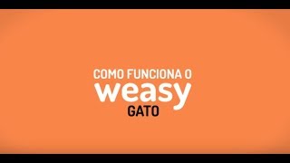 Weasy Gato [upl. by Farant]