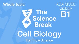 Whole of Unit 1 AQA GCSE Biology  Cell Biology [upl. by Silvie]