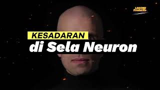 Kesadaran di Sela Neuron [upl. by Bergeron626]