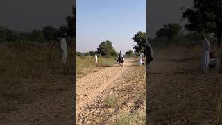 Pakistani horse🐎baaz ki speed 🦅 😱horse pakistan speed kutchhorserace explorekutch trending [upl. by Llejk]