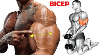 6 Best Bicep Exercises You Should Be Doing [upl. by Mccormick161]