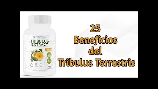 25 Beneficios del Tribulus Terrestris [upl. by Anna]