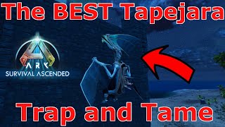 Ark Survival Ascended Tapejara Taming Ark How to tame Tapejara Ark Tapejara Trap [upl. by Siravrat]