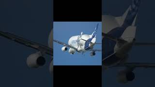 Me bomboclat edit meme airbus ksi [upl. by Notnirt]