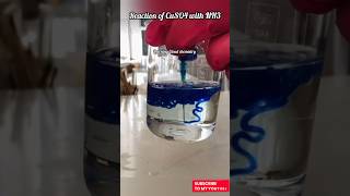 Reaction of CuSO4experiment shorts [upl. by Rufina235]