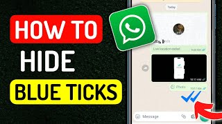 How To Hide Blue ticks on Whatsapp  Full Guide [upl. by Ahseken493]