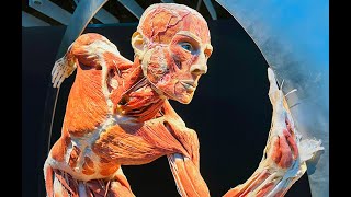 BODY WORLDS at the Science Museum of Virginia [upl. by Groh]