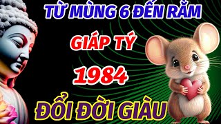 BẤT NGỜ CO TIN VUI TỪ MAI ĐẾN 15 RẰM THÁNG 10 ÂM LỊCH TUỔI GIÁP TÝ SINH 1984 TRÚNG SỐ ĐỔI ĐỜI GIÀU [upl. by Eerrahs]