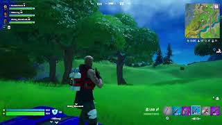 Playin Fornite😺 [upl. by Nossaj]