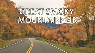 Americas Most Visited National Park  Fall Colors  Great Smoky Mountains 4K  Scenic Drive [upl. by Crocker]